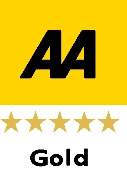 AA 5STAR GOLD Small