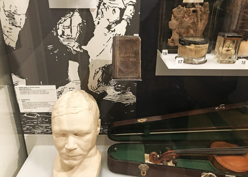 Surgeons Hall Museums Edinburgh
